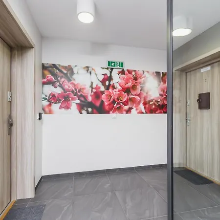 Blossom - Old Town - By Upstairs